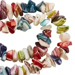 187Pcs Nuggets Chips Natural Shell Beads