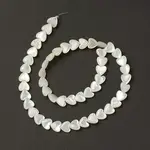Natural White Shell Mother of Pearl Shell Beads
