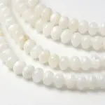 Dyed Natural Freshwater Shell Rondelle Bead Strands