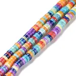 Natural Trochid Shell Beads Strands