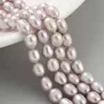 Natural Cultured Freshwater Pearl Beads Strands