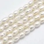 Natural Cultured Freshwater Pearl Beads Strands