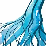 Rozhlas klidné vlny – rozhlas klidné vlny