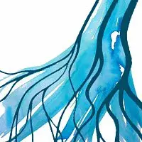 Rozhlas klidné vlny – rozhlas klidné vlny