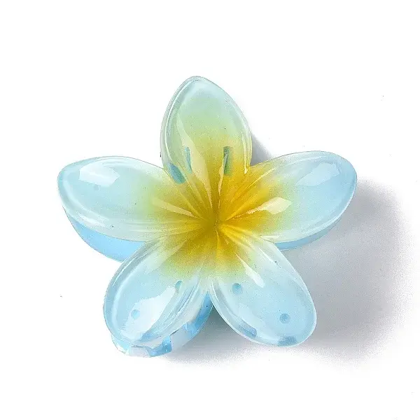 Plastic Claw Hair Clips