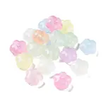Transparent Acrylic Beads