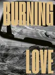 Burning Love - Karel Cudlín, Misha Sidenberg
