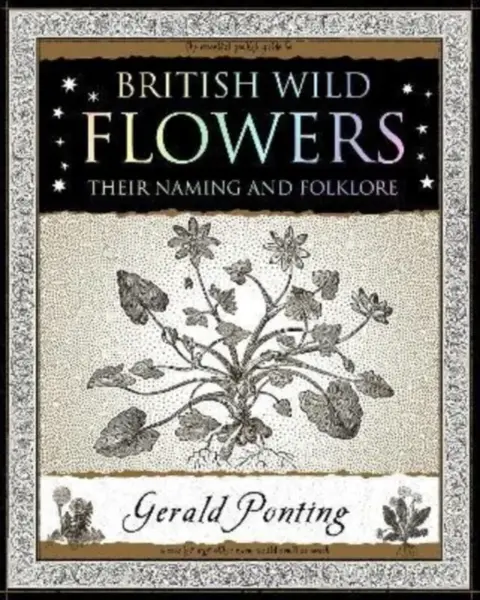 British Wild Flowers - Gerald Ponting