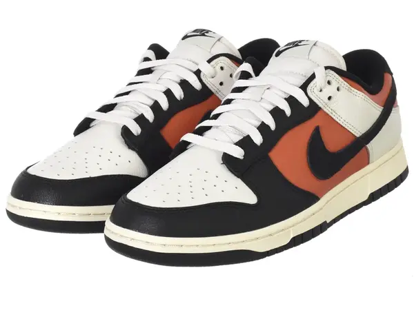 Nike pánské tenisky Dunk Low Retro