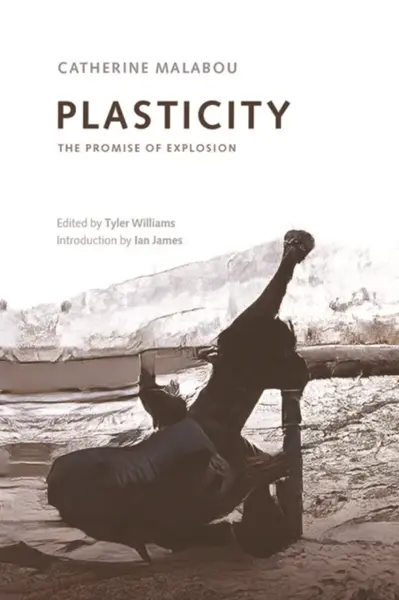 Plasticity - Catherine  Malabou