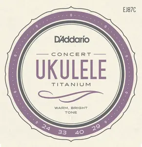 D'Addario EJ87C