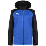 PUMA Športová bunda 'TeamLiga'  modrá / čierna