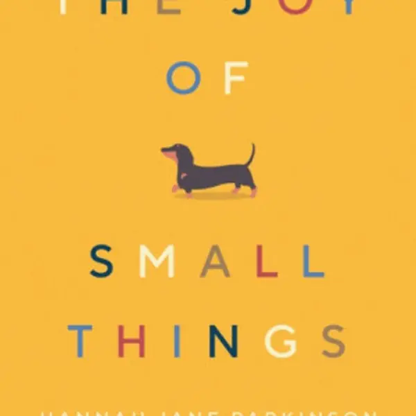 The Joy of Small Things - Hannah Jane Parkinson