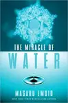 The Miracle of Water - Masaru Emoto