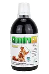 Chondrocat Biosol 500ml