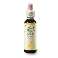 ORIGINAL BACH® Gorse 20 ml