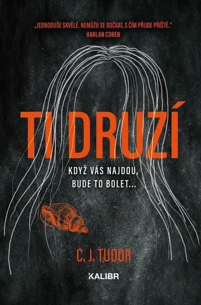 Ti druzí (poškozené) - C. J. Tudorová