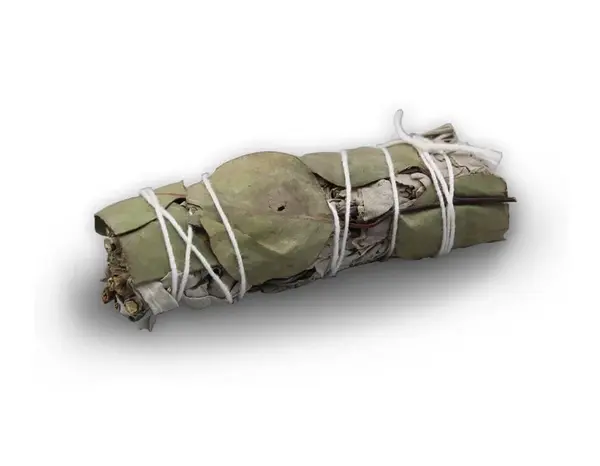 Vykurovací zväzok šalvia biela a eukalyptus 10cm