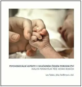 Psychosociální  aspekty v současném  českém porodnictví