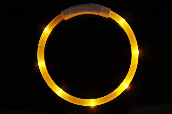 Reedog Easy Light USB nabíjací svietiaci obojok pre psy a mačky - žltá