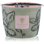 Baobab Collection Folia Maquis vonná sviečka 10 cm