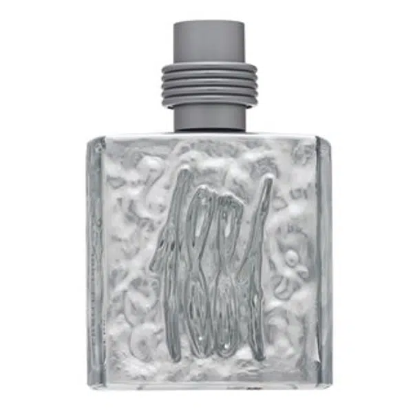 Cerruti 1881 Silver toaletná voda pre mužov 100 ml