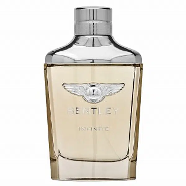 Bentley Infinite toaletná voda pre mužov 100 ml