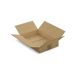 25 x Kartonová krabice 310x215x55mm, hnědá, klopová,třívrstvá vlnitá lepenka (3VVL) | RAJA