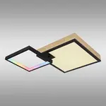 Stropní svítidlo Jacky 41392-21 RGB LED PL2