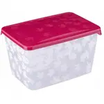 Box obdélníkový 2,5L „Rukkola” Branq mix