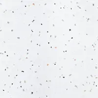 Dlažba Tesla Blanco 58/58 Rect.