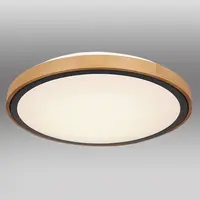 Svítidlo 41764-24 LED 24W černá PL