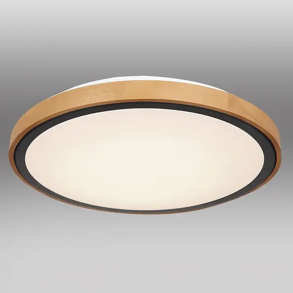 Svítidlo 41764-24 LED 24W černá PL