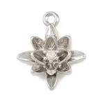 Brass Micro Pave Clear Cubic Zirconia Charms