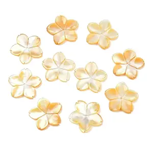 Natural Yellow Shell Carved Beads