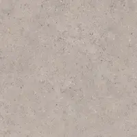 Biophilic grey  60x60 8,5MM GRIP