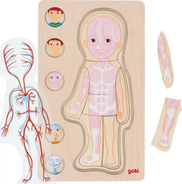 Goki Dřevěné vícevrstvé puzzle/vkládačka Lidské tělo - Chlapec
