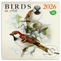 NOTIQUE Nástenný poznámkový kalendár Birds in Art (Vtáčiky) 2026