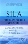 Sila prítomného okamihu - Cvičenia (Základné teórie, meditácie a cvičenia) - kniha z kategorie Pozitivní myšlení