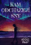 Kam odcházejí sny - Petra Fido