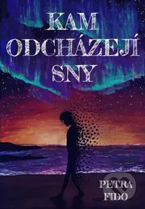Kam odcházejí sny - Petra Fido - kniha z kategorie Thrillery