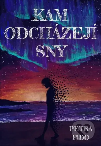 Kam odcházejí sny - Petra Fido - kniha z kategorie Thrillery