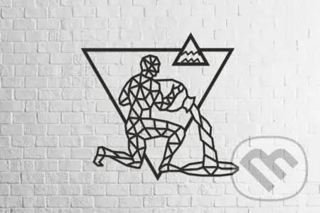 Nástené puzzle – znamenie Vodnár - puzzle z kategorie 3D puzzle