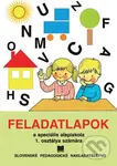 Pracovne listy k šlabikáru a k písaniu pre 1. ročník ŠZŠ s VJM - kniha z kategorie 1. stupeň