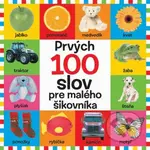 Prvých 100 slov pre malého šikovníka - kniha z kategorie Naučné knihy