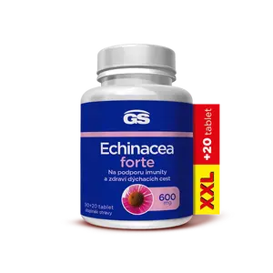 GS Echinacea forte 600 mg XXL 90 + 20 tablet