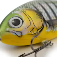 Salmo wobler fatso 14 sinking limited edition phantom perch 14 cm