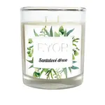 RYOR Svíčka Santalové dřevo 210 g