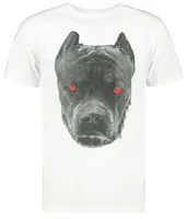 Bílé pánské tričko s potiskem Dstreet