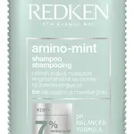 Redken Čistiaci šampón pre citlivú pokožku a mastné vlasy Amino Mint (Shampoo) 300 ml